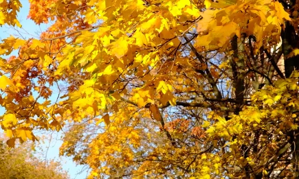 Воскресенье принесёт в Татарстан тепло до +18 градусов - НТР 24