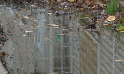 Дождь, туман и сильный ветер: погода в Татарстане на 28 октября - НТР 24