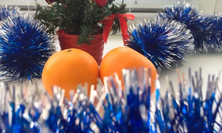 Россиянам советуют начать закупать продукты к Новому году уже в октябре - НТР 24