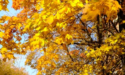 После тёплых выходных в Татарстан вернётся октябрьская погода - НТР 24