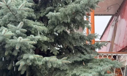 Первый снег выпал в одном из районов Татарстана - НТР 24