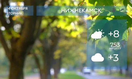 Прогноз погоды в Нижнекамске на 14-е октября 2025 года - НТР 24