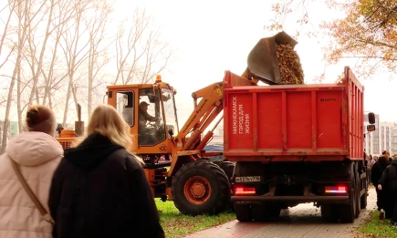 Сотни студентов Нижнекамска вышли на субботник в парк «Урман» - НТР 24