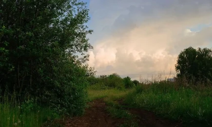 В Татарстане планируют упразднить ещё один посёлок - НТР 24