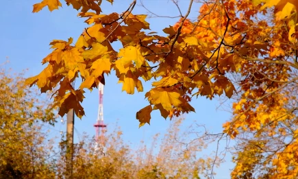В Татарстане температура превысит норму в ближайшие дни - НТР 24