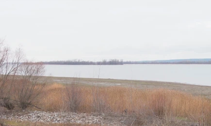 Прогноз погоды в Татарстане на 14 октября: дожди и похолодание до +3 градусов - НТР 24