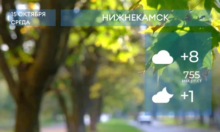Прогноз погоды в Нижнекамске на 15-е октября 2025 года - НТР 24