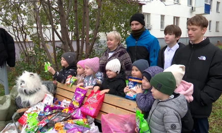 Помощь приютам дает результат: в Нижнекамске стало меньше бездомных животных - НТР 24