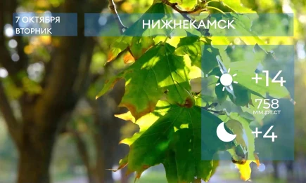 Прогноз погоды в Нижнекамске на 7-е октября 2025 года - НТР 24