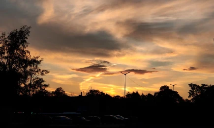 Метеорный поток 4–6 октября будет почти невидим из-за полной Луны - НТР 24