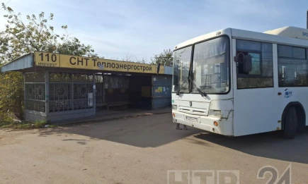 Стало известно, когда отключат свет в огородах Нижнекамска и перестанут ходить автобусы - НТР 24