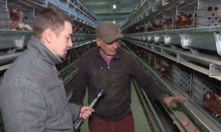 Откуда попадают продукты на сельхозярмарки Нижнекамска - НТР 24