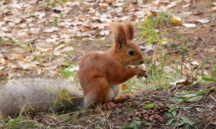 Синоптики Татарстана дали прогноз на начало новой недели - НТР 24
