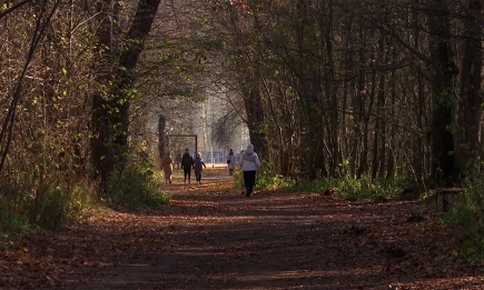 Последний оплот тепла пал: Вильфанд объявил о переходе погоды в зимний режим - НТР 24