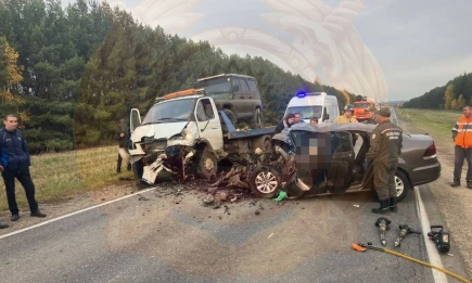 Два подростка и мужчина погибли в ДТП в Агрызском районе Татарстана - НТР 24