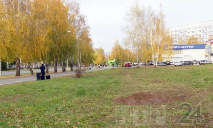 Что будет с погодой в Татарстане на этой неделе, рассказали синоптики - НТР 24