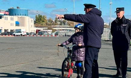 Семья из Нижнекамска показала высокий результат в конкурсе по безопасности ПДД - НТР 24