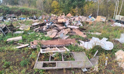 В Набережных Челнах обнаружена свалка размером с баскетбольную площадку - НТР 24
