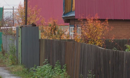 Эксперт КФУ рассказал, как правильно подготовить огород и сад к зиме - НТР 24