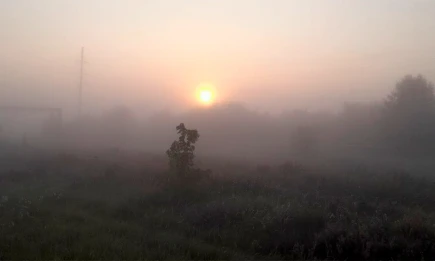 Синоптики прогнозируют туманную погоду с порывистым ветром в Татарстане - НТР 24