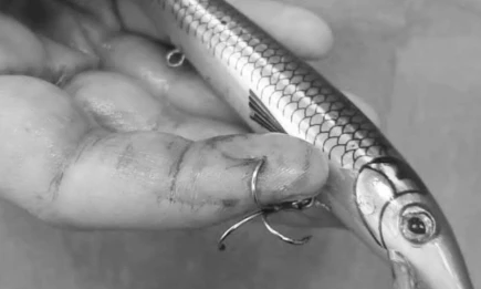 Нижнекамка попалась на тройной крючок мужа-рыбака - НТР 24