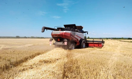 Рекордный урожай зерна в Татарстане: 4,5 млн тонн по итогам года - НТР 24