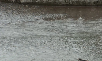 Татарстан ждет дождливая неделя с постепенным похолоданием - НТР 24