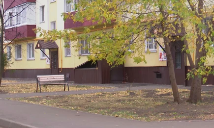 К середине недели в Татарстане прогнозируется туман и заморозки до -2 - НТР 24