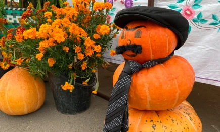 Эксперт КФУ рассказала о пользе осенних продуктов для укрепления иммунитета - НТР 24