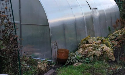 Подготовка к зимовке - НТР 24