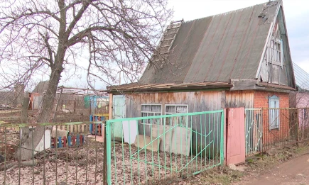 Для владельцев земельных участков в Татарстане проведут «горячую линию» - НТР 24