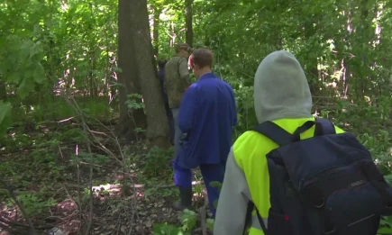 Волонтёры продолжают поиски двух пропавших нижнекамцев - НТР 24