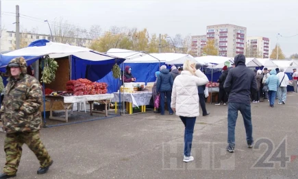 Сельхозярмарки в Нижнекамске - НТР 24
