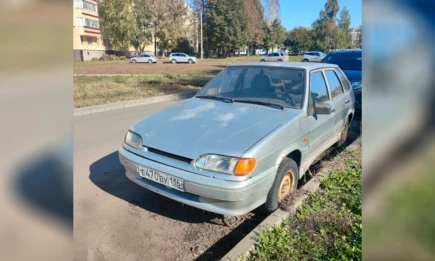 Владельцу «ВАЗ-2114» в Нижнекамске грозит эвакуация автомобиля - НТР 24