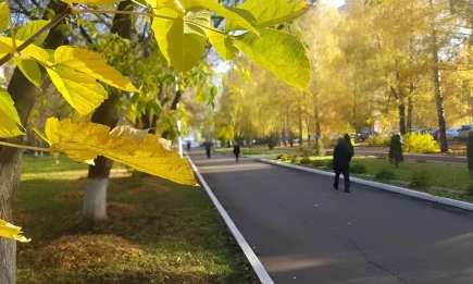 В Татарстане 12 октября ожидается дождь и ветер до 17 м/с - НТР 24