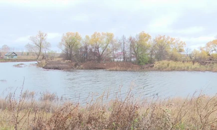 Последний день октября принесёт в Татарстан заморозки до -1 - НТР 24