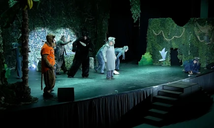 Мюзикл индийских джунглей - НТР 24