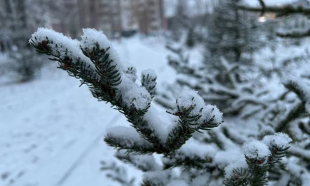 Метеоролог предупредил о снегопадах в Татарстане в начале ноября - НТР 24