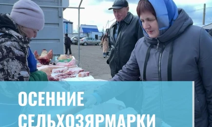 Осенние сельхозярмарки - НТР 24