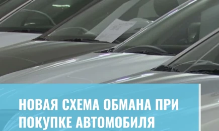 Новая схема обмана при покупке автомобиля - НТР 24