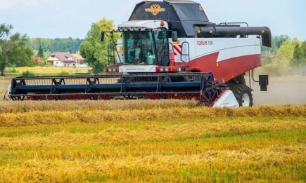 Перезимуем в достатке - НТР 24