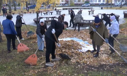 В Нижнекамске более 6 тыс. человек приняли участие в осенних субботниках - НТР 24