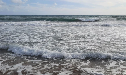 Безвиз на Бали: посол России назвал это вопросом обозримого будущего - НТР 24