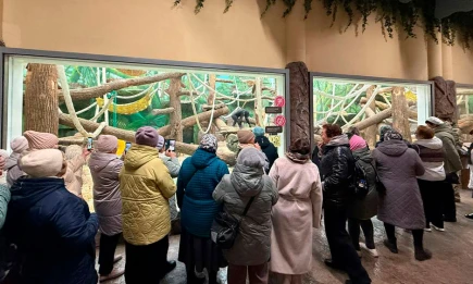 Нижнекамские волонтеры обменялись опытом с казанскими коллегами - НТР 24