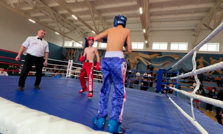 Нижнекамские кикбоксеры завоевали 13 наград на командном чемпионате республики - НТР 24