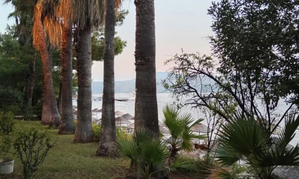 От Вьетнама до Ниццы: где россияне проводят самые длинные отпуска - НТР 24