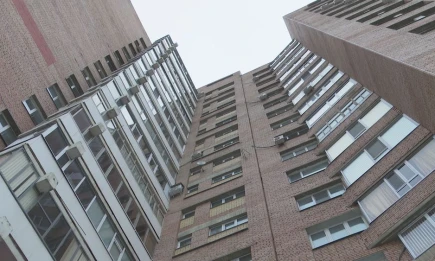 Как мошенники узнают о вашей недвижимости? Росреестр предупреждает - НТР 24