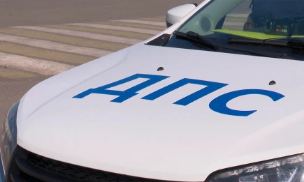 Жители Татарстана помогли задержать 125 нетрезвых водителей через Telegram - НТР 24