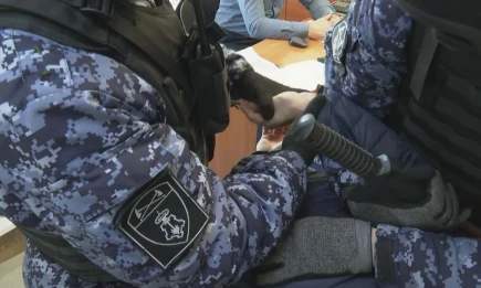 В кафе Нижнекамска задержали зачинщика конфликта — оказалось он в розыске - НТР 24