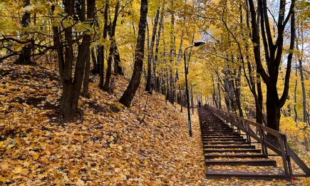 Суббота порадует татарстанцев тёплой погодой до +19 - НТР 24